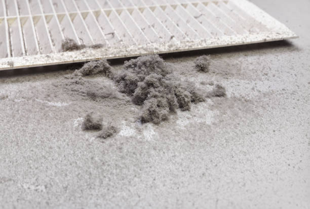Best HVAC Duct Inspection Services  in Clark Mills, NY